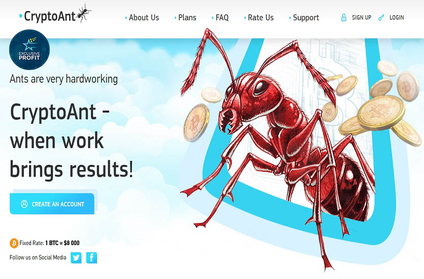 Crypto Ant Limited